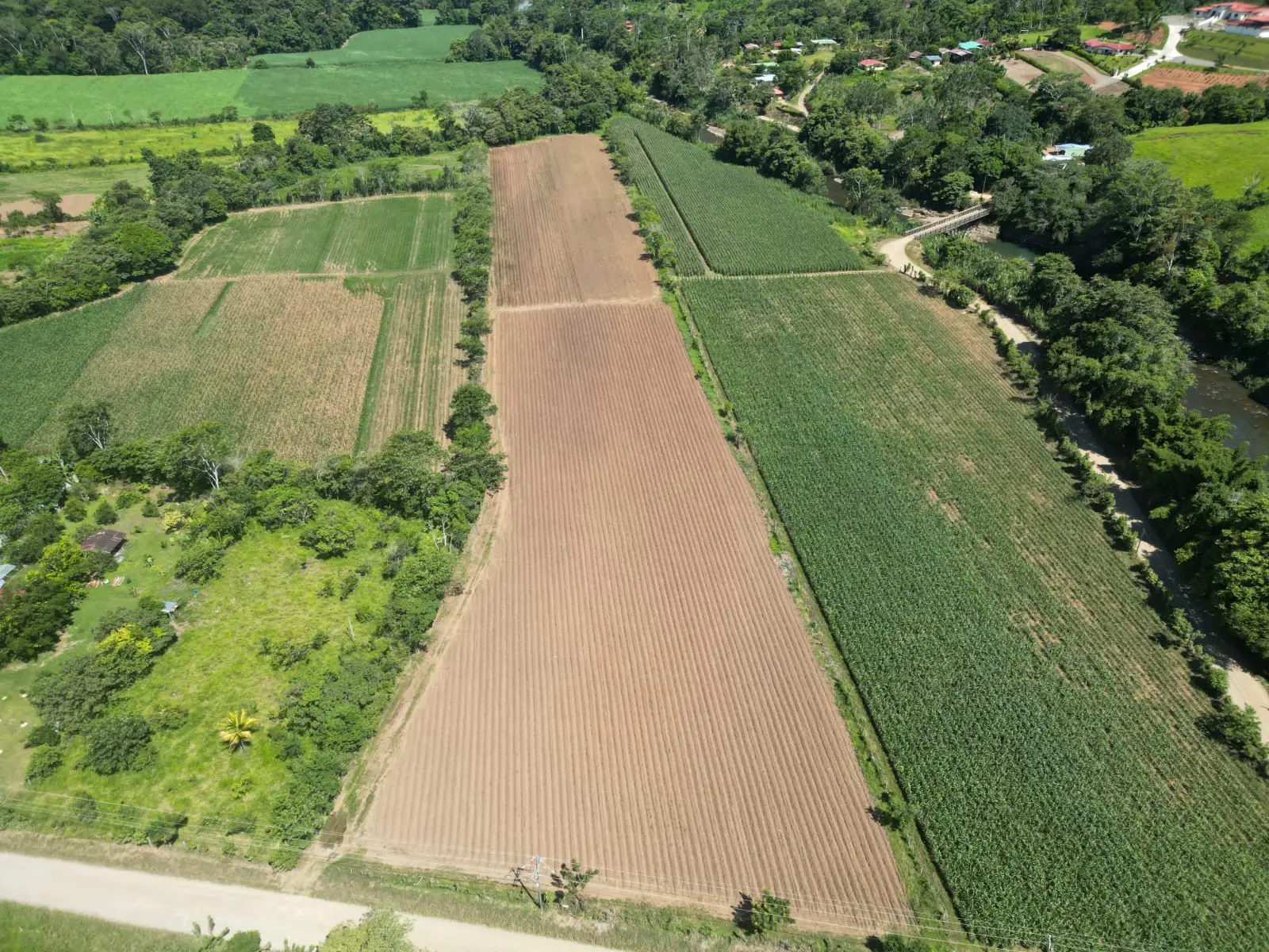 DJI (2) Terreno para Desarrollo o Agricultura 31,157.53 m²