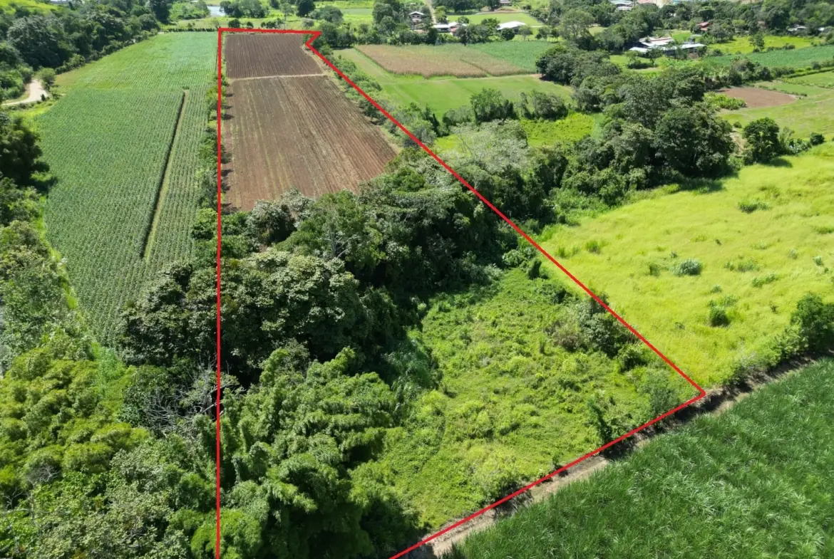 Terreno para Desarrollo o Agricultura 31,157.53 m²
