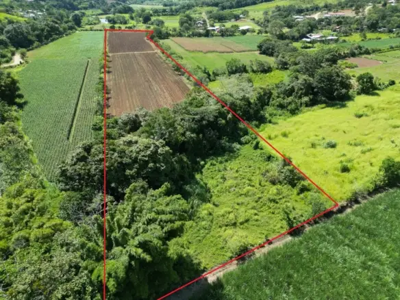 Terreno para Desarrollo o Agricultura 31,157.53 m²