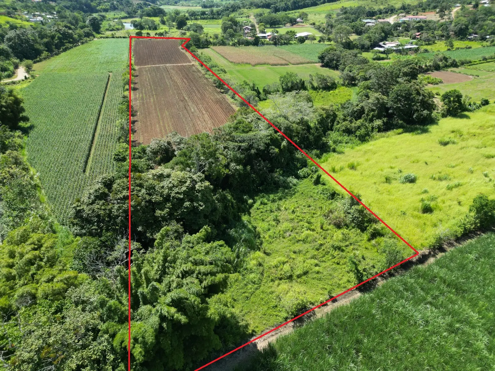DJI (3) Terreno para Desarrollo o Agricultura 31,157.53 m²